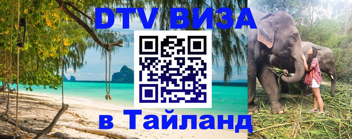 Сколько стоит DTV виза — актуальные цены, оформление даже без документов - 